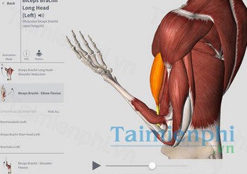 download complete anatomy cho iphone