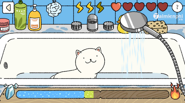 cách tắm cho mèo trong adorable home không nổi giận