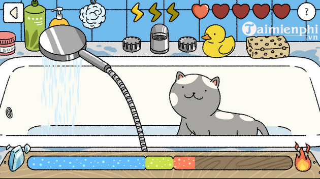 cách tắm cho mèo trong adorable home nhận nhiều tim